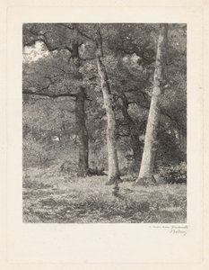 Bir Orman Temizliği. by Karl Bodmer