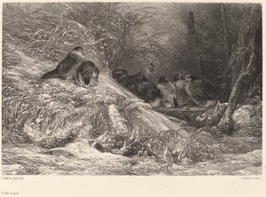 Dondan korunmak by Karl Bodmer