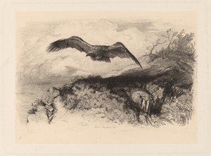 uçan Kartal by Karl Bodmer