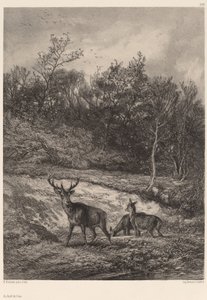 su kenarında by Karl Bodmer