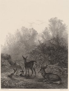 geyik dinlenme by Karl Bodmer