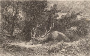 Geyik a la Repose. by Karl Bodmer