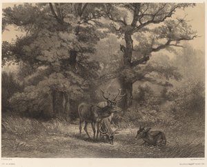 Geyik by Karl Bodmer