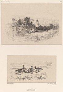 Çalışmalar by Karl Bodmer