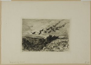 uçan kazlar by Karl Bodmer