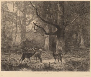 Fontainebleau Ormanı by Karl Bodmer