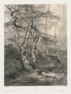Bir çakır kuşu tarafından kovalanan tavşan by Karl Bodmer