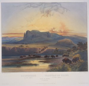 Niagara Şelaleleri by Karl Bodmer