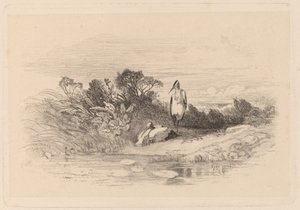 balıkçıllar by Karl Bodmer