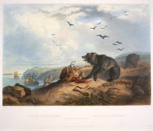 Hunting of the Grizzly Bear