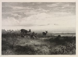 Geyik ile manzara by Karl Bodmer