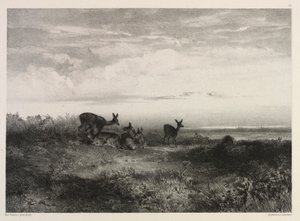 Geyik ile Peyzaj, c. 1840. by Karl Bodmer