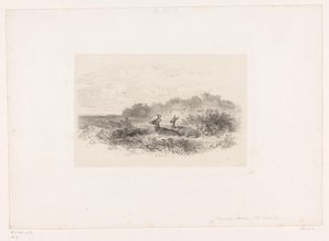 İki beyaz kuyruklu geyik ile manzara Hayvanlarla manzaralar (dizi başlığı) by Karl Bodmer