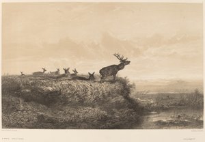 Sabah by Karl Bodmer