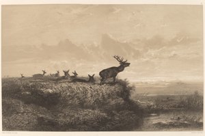 Sabah. Geyik ve Hindiler. by Karl Bodmer