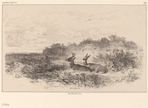 Dinlenme. by Karl Bodmer