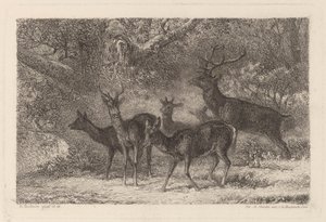 Sürü by Karl Bodmer