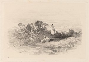 İki Balıkçıl by Karl Bodmer