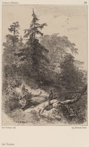 sülün by Karl Bodmer
