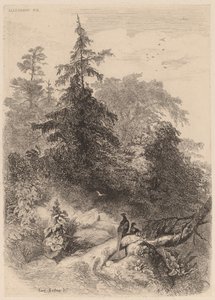 sülün by Karl Bodmer