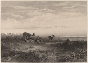 Hintliler. by Karl Bodmer