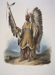 Mato-Tope, Bir Mandan Şefi by Karl Bodmer