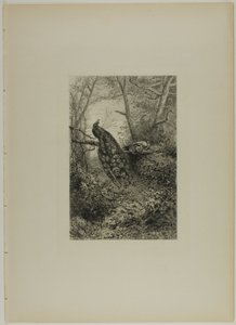 Tavus kuşları bir dal üzerinde by Karl Bodmer