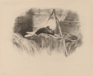 Bir yuva üzerinde güvercin. by Karl Bodmer