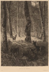 Eve dön. by Karl Bodmer