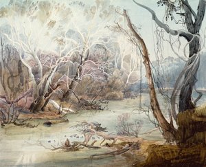 New Harmony, Indiana yakınlarındaki Fox Nehri by Karl Bodmer