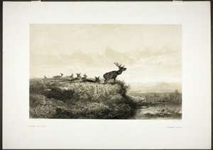  by Karl Bodmer