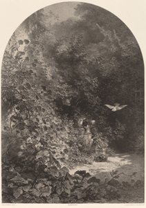 Bahçeden bir köşe. by Karl Bodmer