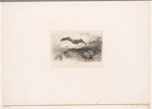 uçan Kartal Hayvanlarla manzaralar (dizi başlığı) by Karl Bodmer