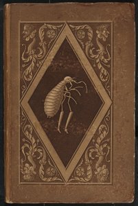 usta pire. İki Arkadaşın Yedi Macerasında Bir Masal (Usta Pire: İki Arkadaşın Yedi Macerasında Bir Masal) by Karl Friedrich Thiele, Ernst Theodor Amadeus Hoffmann