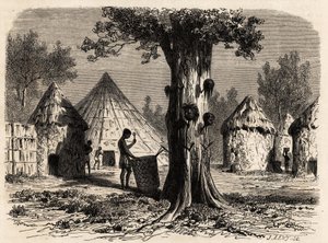 Savaş ağacı, Djour, Bahr-el-Gazal bölgesi, Sudan, Karl Girardet (1813-1871) tarafından 1856-1857