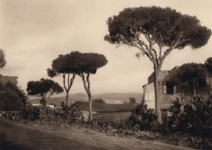 Lübnan, Manzara (s/b fotoğraf) by Karl Grober