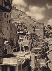 Mar Saba, Palm of St Sabas (s/b fotoğraf) by Karl Grober