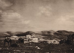 Samiriye, Hirodes Sarayı Harabelerinden Görünüm (s/b fotoğraf) by Karl Grober
