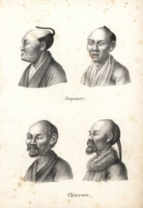 Topuzlu saç stiline sahip Japon erkek büstleri ve sakallı, biri saç örgülü Çinli erkeklerin büstleri. Heinrich Rudolf Schinz'in Illustrated Natural History of Men and Animals kitabından Karl Joseph Brodtmann'ın litografisi