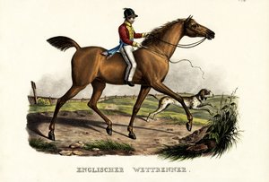 İngiliz Yarışçı Atı, 1824 by Karl Joseph Brodtmann