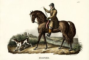 ಸ್ಪ್ಯಾನಿಷ್ ಹಂಟರ್ ಹಾರ್ಸ್, 1824 ಟರ್ಕ್ by Karl Joseph Brodtmann