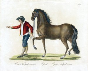  by Karl Joseph Brodtmann