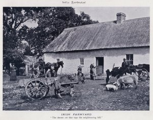 İrlanda Çiftliği (s/b fotoğraf)