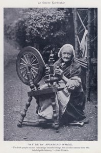 İrlandalı Çıkrık (s/b fotoğraf) by Karl Karlovich Piratsky