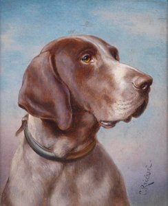 Köpek portresi by Karl Reichert