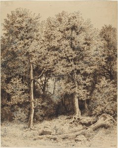 Ağaçların Korusu by Karl Theodor Reiffenstein