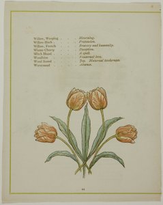 Çiçeklerin Aydınlatılmış Dilinden Dekoratif İllüstrasyon by Kate Greenaway