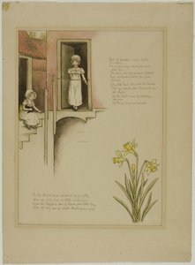 Marigold Garden