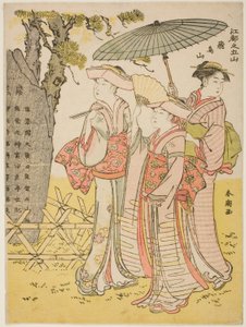 Asuka Tepesi (Asukayama), "Edo