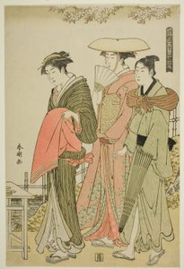 Çiçekler, "Kar, Ay ve Yüzen Dünyanın Çiçekleri (Ukiyo setugekka)" serisinden by Katsukawa Shuncho